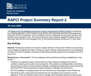RAPCI summary report 2
