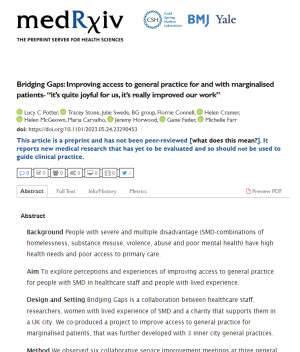 Screenshot of the Bridging Gaps preprint paper