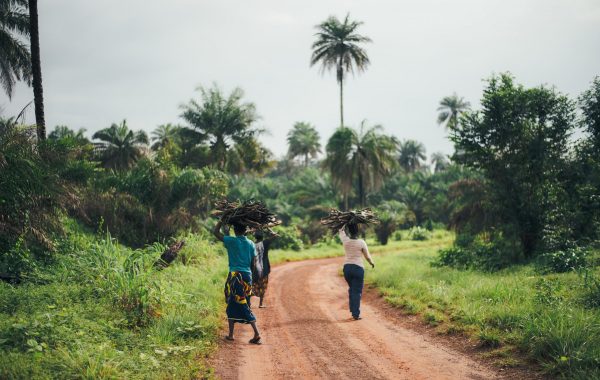 Three people walking along a dirt road flanked by palm trees and vegetation somewhere in Africa