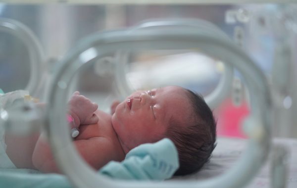 A premature baby sleeps in an incubator in hospital