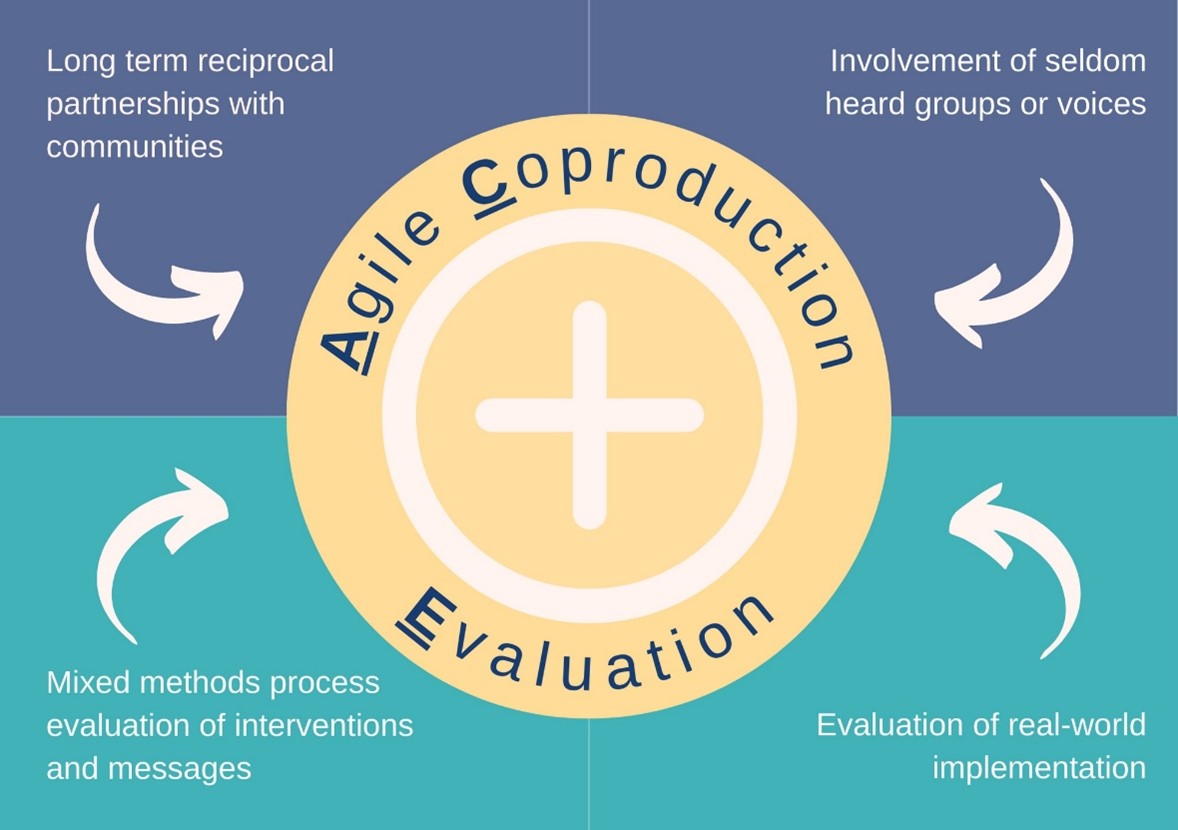 Diagram explaining the ACE (Agile Coproduction Evaluation) guidance